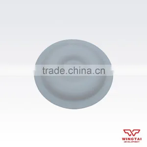 PTFE Diaphragm For Double Diaphragm Pump 110mm thumbnail-1