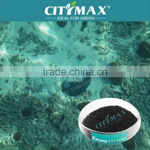 Fucoxanthin Seaweed Extract thumbnail-1