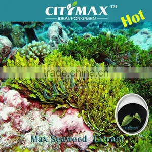 High Purity And Solubility Seaweed Extract Price thumbnail-1