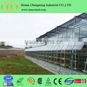 Low Cost Plastic Greenhouse From China Polyethylene Film Greenhouse Vegetable Greenhouses thumbnail-1
