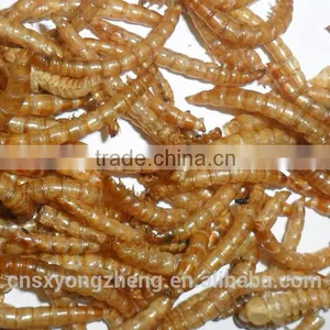 Chicken Farms Chicken Feed Dried Mealworms thumbnail-1
