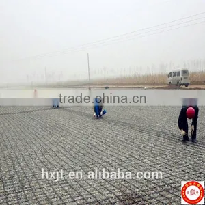 PP Biaxial Geogrids for Reinforcement and Stabilization Biaxial Plastic Geogrids thumbnail-3