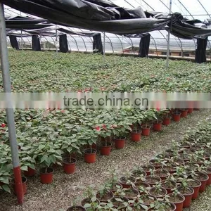 Simple Soft Wholesale Plastic Garden Flower Pot thumbnail-3