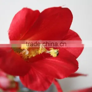 Natural Clivia Fabric Clivia Decorative Clivia Artificial Clivia Flower for Wholesale thumbnail-2