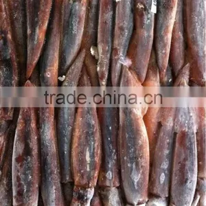 New Coming Illex Squid 100-150g thumbnail-1