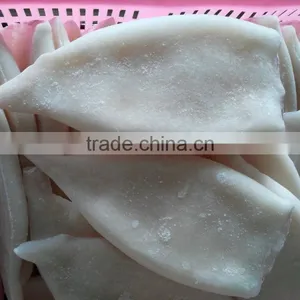 Frozen Fresh New Produced U5 Squid Tube thumbnail-1