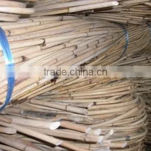Raw White Pahang All Size Cane thumbnail-5