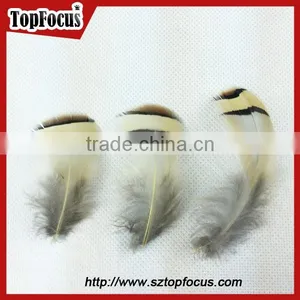 Wholesale Down Pheasant Partridge Plumage Natural Pheasant Feathers Prices thumbnail-1