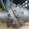Tilted Disc Check Valve thumbnail-1