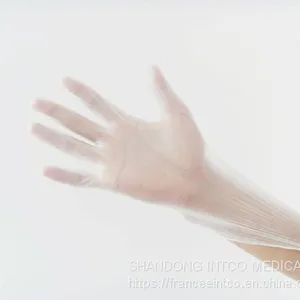 Laboratory Usage Vinyl Glove thumbnail-2