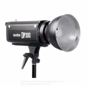 Godox DP300 Photography Studio Strobe Flash Light Power 110V/220V Light Lamp Head For Camera Studio thumbnail-1