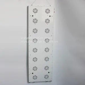 China Supplier 660Nm 850Nm Led Therapy Panel Machine Red Light 300W 900W 1200W TL800 With Remote and Time Control thumbnail-5
