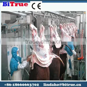 Different Capacity Poultry Processing Machinery thumbnail-1