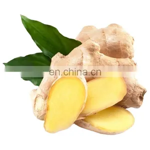 Factory Genyond Fruit Vegetable Ginger Paste Grinder Grinding Equipment Making Machine thumbnail-1