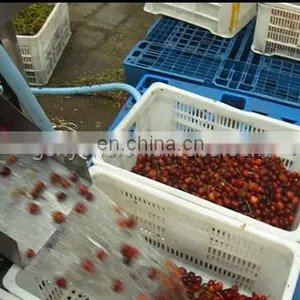 Cherry Stem Stalk Removing Machine Cherry Pitting Machine for Cherry Process Machine thumbnail-5