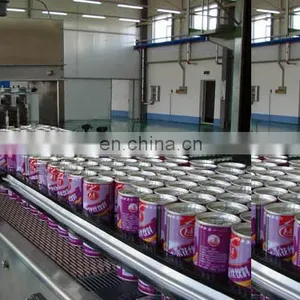 Canned Pineapple Processing Machine Canned Pineapple Slices Production Line thumbnail-5