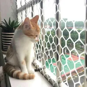 Plastic Wire Mesh Factory Direct Supply Pvc Fencing Net thumbnail-2