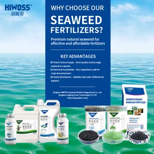 Qingdao Jingling Ocean Technology Co., Ltd. company overview - view 1 thumbnail