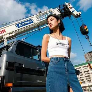 Tower City East Road Crane Rental, 3.5 - Ton Forklift Rental, Truck - Mounted Crane for Exhibition Unloading, Aerial Work Platform. Phone Number thumbnail-5