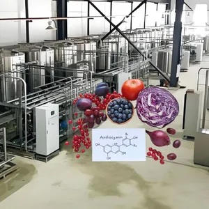 Plant Raw Material Crude Extract Membrane Separation Equipment thumbnail-5