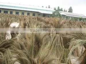 Tien Phuong Trading And Manufacturing Co., Ltd company overview - view 2 thumbnail