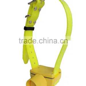 Trainertec Brand Dog Training Supplies Hot Sale Yellow Beeper thumbnail-1