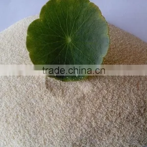 High Quality Dehydrated Garlic Granules 8-16/ 40-80 Mesh for EU & USA Market thumbnail-4