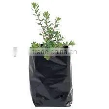 White and Black Seeding Bags for Indoor Use thumbnail-1