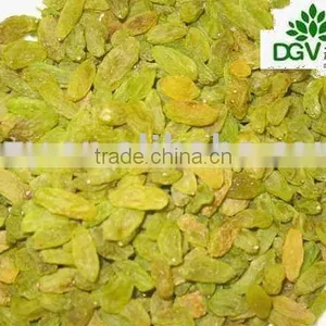 Green Raisins Grade AA thumbnail-1
