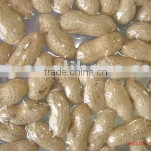 Groundnut in Shell thumbnail-1