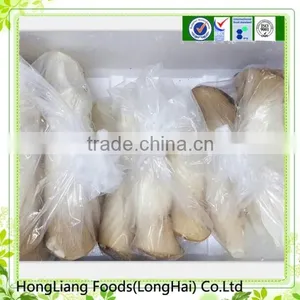 2014 Fresh Pleurotus Eryngii for Supermarket thumbnail-1