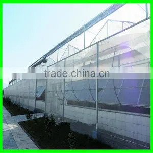 100% New HDPE Insect Mesh / Anti Bird Net for Apple Trees/vineyard thumbnail-5