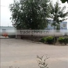 Qingdao Xintianyang I&E Co., Ltd. company overview - view 1 thumbnail