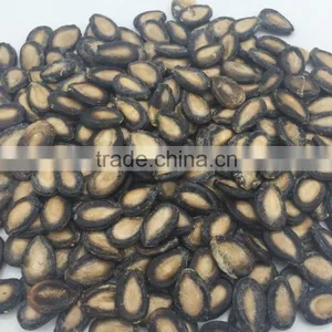 Black Watermelon Hybrid Seeds thumbnail-1