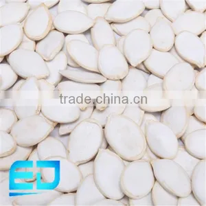 Snow White Pumpkin Seed , Shine Skin Pumpkin Seed thumbnail-1