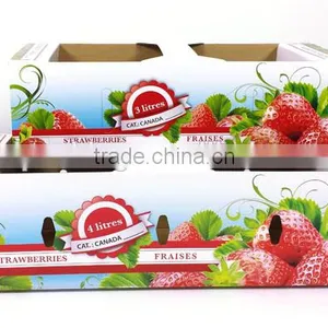 China Factory Recyclable Fruit Packaging Box With High Quality Supplier's Choice thumbnail-6