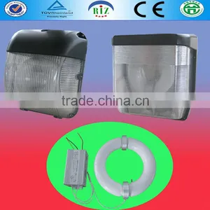 Steady Quality Induction Wall Lamp for Restaurant Lighting thumbnail-3