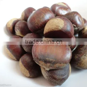 2016 Raw Organic Fresh Chestnuts thumbnail-1