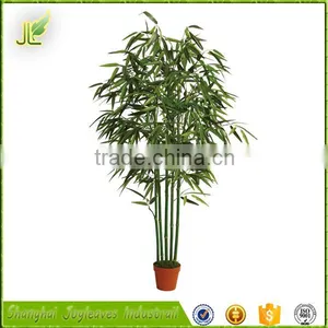 Combined Wholesale Factory Direct Low Price Bamboo Bonsai Tree thumbnail-3