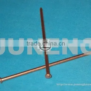 Nail / Coppered Butt-Weld thumbnail-1
