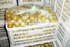 High Quality Plastic Printed t Shirt Bag on Roll for Vegetable and Fruit thumbnail-1