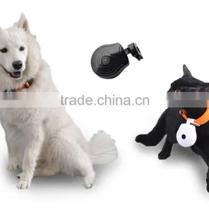 Hot Selling Pet Collar Camera Lovely Pet Camcorder thumbnail-1