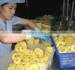 Gia Dat Trading Export - Import Joint Stock Company company overview - view 2 thumbnail