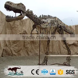 OA-DS-20160505S9 Life Size Dinosaur Head Fossil thumbnail-4