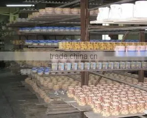 Fujian Dehua Rongxin Ceramic Co., Ltd. company overview - view 1 thumbnail