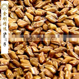 Semen Cassiae Tea/Pure Natural Semen Cassiae/semen Cassiae for Eye thumbnail-2