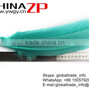 ZPDECOR Factory Exporting Beautiful Colored Peacock Blue Solid Color Turkey Feathers for Fashion Show thumbnail-4