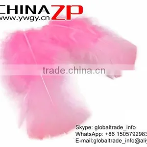 ZPDECOR Best Quality Plumage Cheap Dyed Candy Pink Turkey T-Base Body Feathers for Sale thumbnail-3