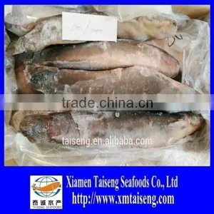 China Catfish for Africa Market thumbnail-1