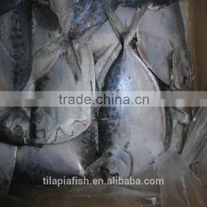 Fresh Moonfish China Orign Hot Sell thumbnail-1